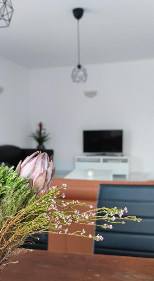 Ellas Modern Duplex City Center Nicosia Ngoại thất bức ảnh